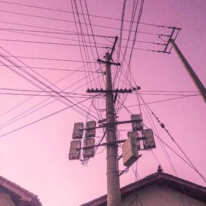 亚洲性亚洲生殖黄色性视频
